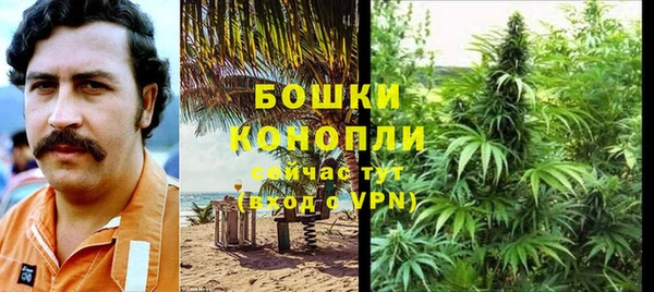 экстази Дмитриев
