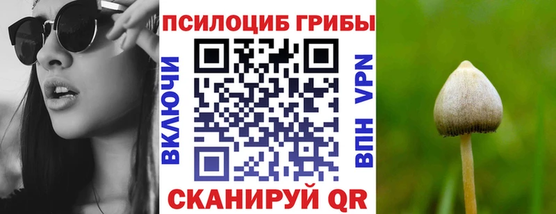 Псилоцибиновые грибы мухоморы  Ершов 
